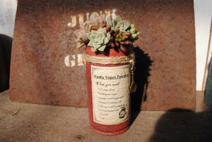 A񂹐AHQS(SL)EhyLA-MCzXIWi