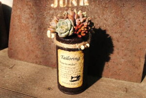 A񂹐AHQS(SL)EhyLM-WBzXIWi