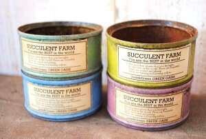 A񂹐AɍœKIyCg(S)yLA-PACzʂ̂ݓXIWi