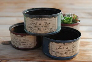 A񂹐AɍœKIyCg(S)yLS-CCzʂ̂ݓXIWi