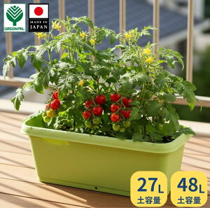 �y15���܂�P2�{�z���{����^�v�����^�[ �[�^ ��e�ʁb�ƒ�؉� �x�����_�؉��ɍœK ��� �� �n�[�u�͔| �r�����t�� �v���X�`�b�N�� ������� �A�ؔ� ���| �K�[�f�j���O �g�}�g �i�X ���イ��