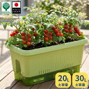 【20日まで限定P2倍】底面給水 プランター 初心者にもおすすめ！貯水機能付き 鉢 スリット構造で通気性◎ 家庭菜園 観…