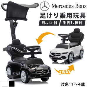pߋ pߋ xc ZfXxc C-Class CNX CZX 艟 悯 艟 Ƃo[t Ђ悯t  Ԃ̏敨  qp蕨