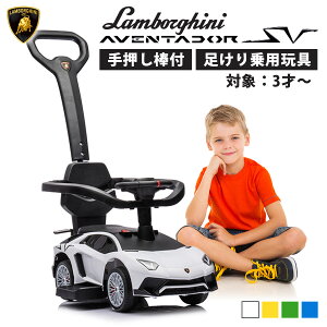 if pߋ pߋ {M[j AF^h[SV 艟 Ƃo[t  2WAY   蕨 qpy xr[ LbY j v[g a 3΂