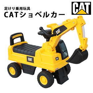 pߋ  ߋ CAT VxJ[ ͂炭 pߋ ߋ q   ߋ j̎q ̎q pJ[ LbYJ[ c 1 2 3 4 a v[g {Bl 