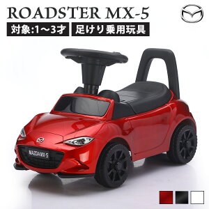 pߋ  }c_ [hX^[ MX-5 MAZDA ROADSTER pߋ q   ߋ j̎q ̎q LbYJ[ a v[g