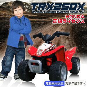 dpߋ z_ oM[ HONDA TRX250X pߋ d pWR q   LbY ߋ doM[ dpoM[ atv dpWR dp dpߋ