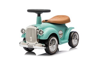 �y�V�f�U�C���z�����Ԕ��� �������p�ߋ� ��p�ߋ� ���g���J�[ �N���V�b�N�J�[ �q���p�敨 �����ߋ� �敨�ߋ� �{�B��������