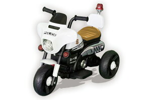 oC |XoCN dpoCN pߋ qp poCN 蕨  doCN dpߋ a v[g CeA {B l 