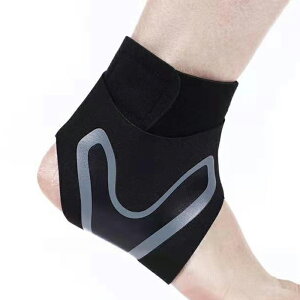 z31# T|[^[ X|[cp { 2荶EZbg g[jO P AEghA ֐ ی }WbNe[v F jp Œ