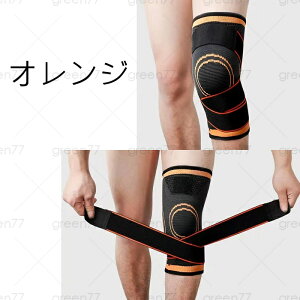 z33z#GT|[^[ ×p {  G̒ɂ G ی 傫TCY ЂT|[^[  Gpbh 싅 X|[c oR Ђ Œ xg