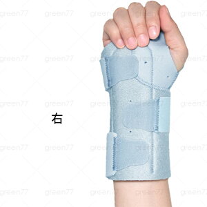 z115#T|[^[ ×p {  ewT|[^[ F≊ 荪ǏǌQ  ̒ɂ Œ t[TCY ی P ʋC ֐ߒ