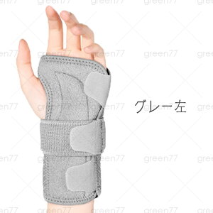 T|[^[ (#z117) Œ {  ی ewT|[^[ F≊  ɂ P ʋC jp ×p ֐߉ ֐ߒ
