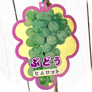 Ԃǂ c qbg c 12cm|bgc uhE c  gv