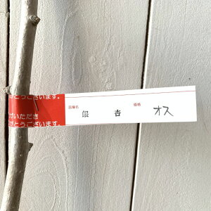  c IX 15cm|bgc 傤 c C`E Ȃ Mi