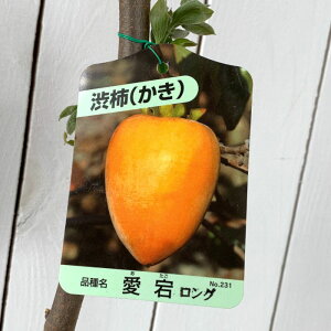 a` c ` 12cmO|bgc  JL c  gv