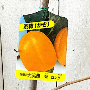 a` c  12cmO|bgc JL c  gv