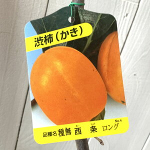 a` c 햳 12cmO|bgc JL c  gv