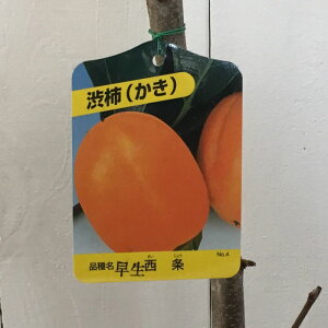 a` c  12cmO|bgc 킹傤 JL c  gv