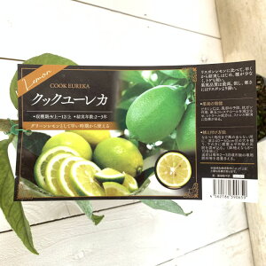  c NbN[J 15cm|bgc  c EG gv