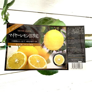  c }C[ lG 15cm|bgc  c EG