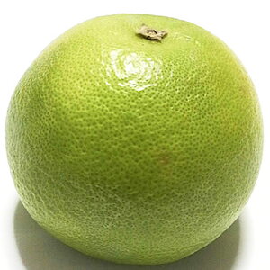 k c XC[eB[ 15cm|bgc 񂫂 c JLc