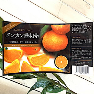 ^J c 1 15cm|bgc 1 񂩂 c Z gv