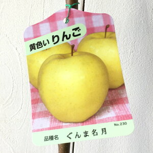 S c ܖ 13.5cm|bgc  c ь gv