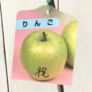 �����S �c�� �j 13.5cm�|�b�g�c ���킢 ��� �c �ь� gv