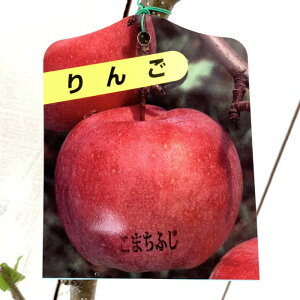 S c ܂ӂ 12cm|bgc  c ь