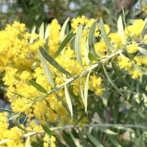 ~U c u[ubV 12cm|bgc 3Nc ~U c gv