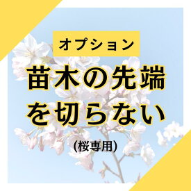 苗木の先端を切らないオプション（桜専用）