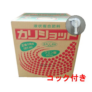 JVbg 10kgyNG_20%ܗLz