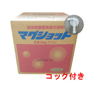 }OVbg 10kgyƂtEy̗\hɁIz