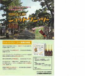 ☆！送料無料☆ショットワン・ツー液剤　60ml×10本　【殺虫剤】【業務用】