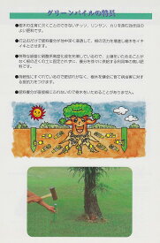 ☆！送料無料☆グリーンパイル（ラージ）3×30cm　50本　樹木打込み型肥料【肥料】【業務用】