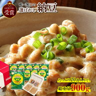納豆 おすすめ 送料無料 グリーンパール 納豆 こつぶちゃん 45g×2食入10袋 総重量 900g 無添加 味つゆ …