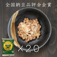 グリーンパール納豆こつぶちゃん45g2食入 20袋（40食分）無添加味つゆ、からし付 冷凍可 第一回全国納豆…