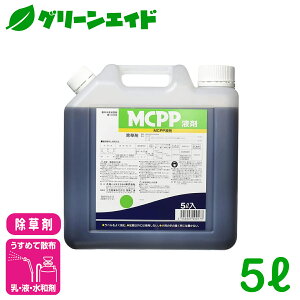  MCPPt 5L ۘaoCIP~J N[o[ XMi Xxq { m 뉀 G _ _