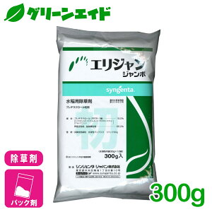  GWW{ 30g×10 VWF^ NG NG SURG  _