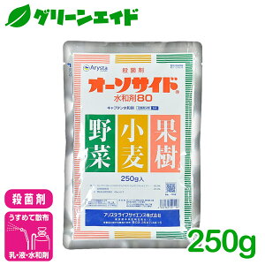 _2ԌI܂Ƃߔōő10%OFFN[|s!^Eۍ I[\TCha80 250G AX^CtTCGX  ʎ  Ԃ _ _