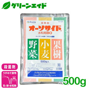 _{ISi|Cg10{Ly[{I^Eۍ I[\TCha80 500g AX^CtTCGX a Ysa DFѕa  Ԃǂ  aQ _ _