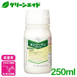 _11/20()20JnI撅ő10%OFFN[|sI^Eۍ I[tAu 250ml oCGNbvTCGX DFѕa ǂ񂱕a a  Ԃǂ g}g aQ _ 