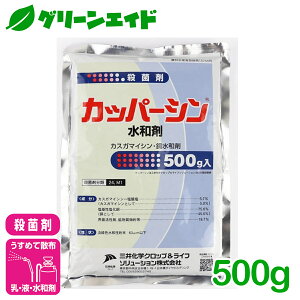 Eۍ Jbp[Va 500g O䉻wNbv&Ct\[V ׂƕa ua Ysa g}g イ 񂫂 Eۍ aQ _ _  JXK}CV