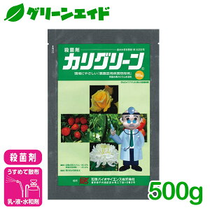 Eۍ JO[a 500g ΌY ǂ񂱕a イ g}g Ԃǂ aQ _ _