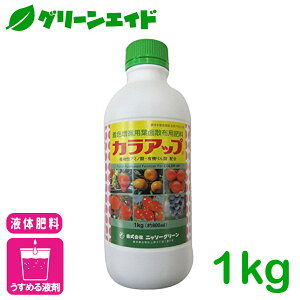 t̔엿 JAbv 1KG jb\[O[ tʎUz 엿 Fi xi i A~m_ tB`_ ʗvf ʎ 