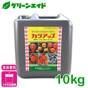 t̔엿 JAbv 10KG jb\[O[ tʎUz 엿 Fi xi i A~m_ tB`_ ʗvf ʎ 