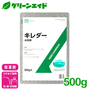 _ԌIwzɉĎgő1200~OFFN[|sI^ L_[a 500g AOJlVE CVNQ [jSP  Ԃނ̌l St̎Œn  G _ 