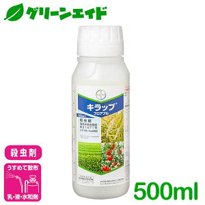 E LbvtAu 500ml oCGNbvTCGX JV EJ AuV    Q _ _