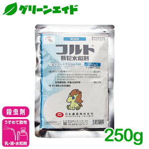 �E���� �R���g�������a�� 250g ���{�_�� �A�u�����V �R�i�W���~ ��� �ʎ� �_�� �_��y���[���֑��������z